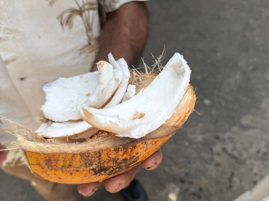 Kandy Trekking Tours-康提必去景点