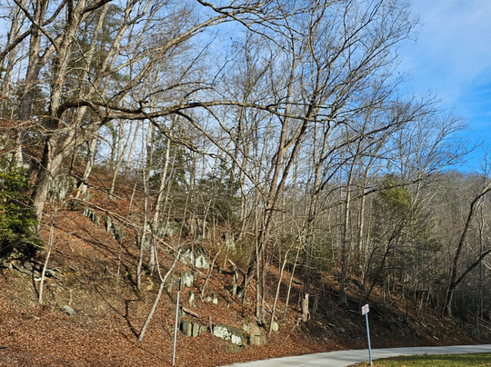 Fosters Masemore Mill-Parkton必去景点