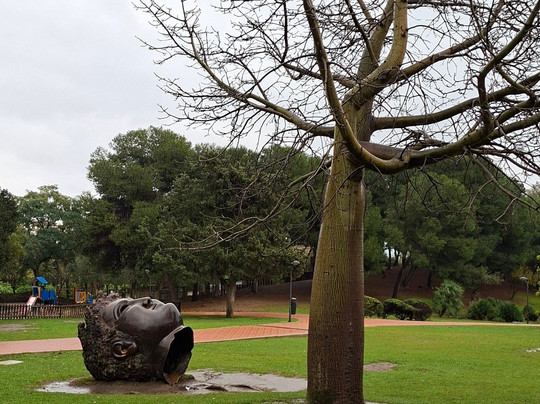 鸽子公园-班纳玛德纳必去景点