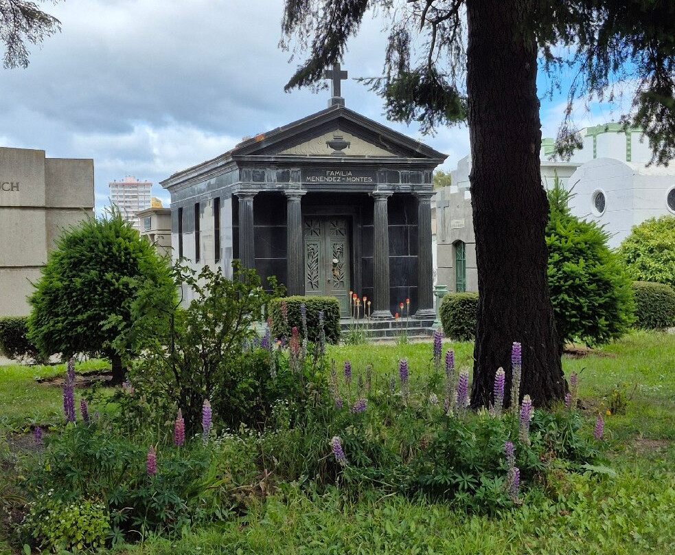 市政公墓-蓬塔阿雷纳斯必去景点