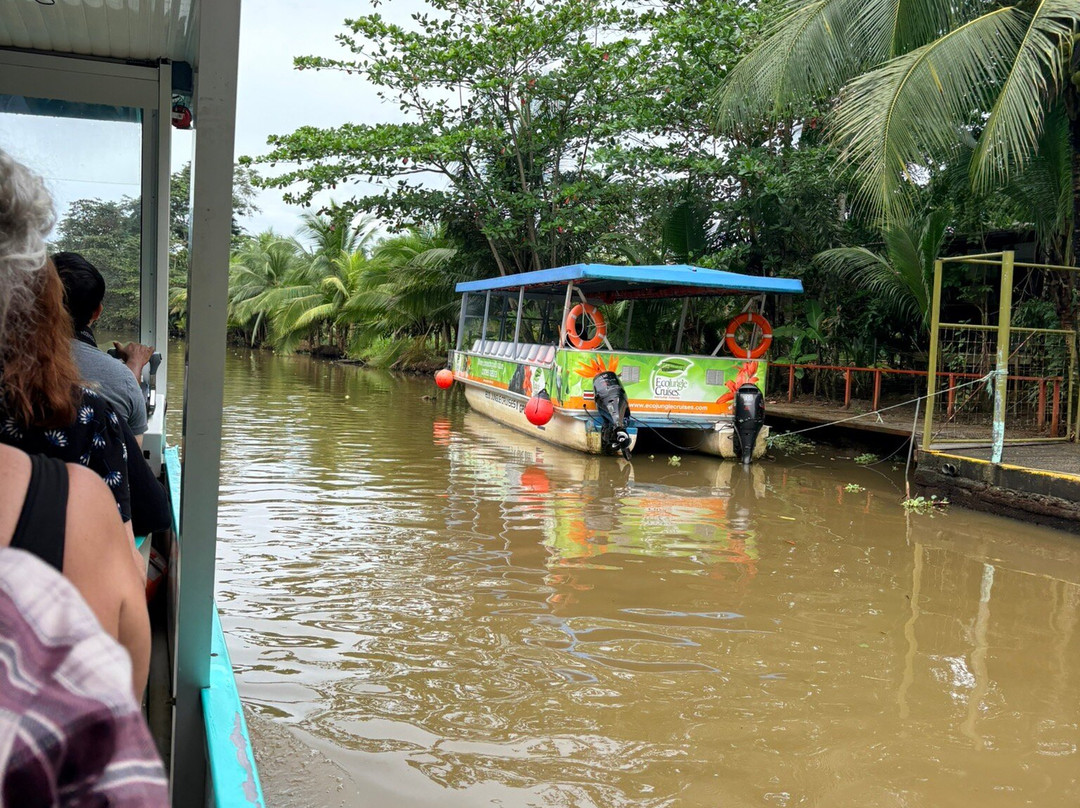 Tortuguero Canal-利蒙港必去景点