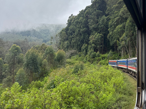 Ceylon D Tours-加勒必去景点