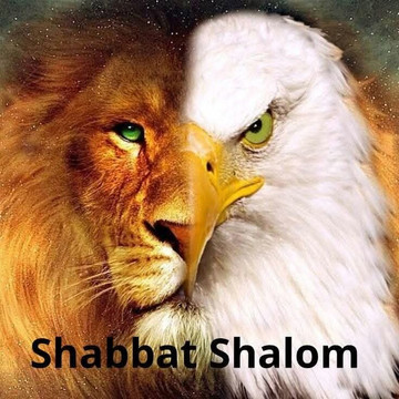 Runway Rooftop Lounge & Restaurant主图