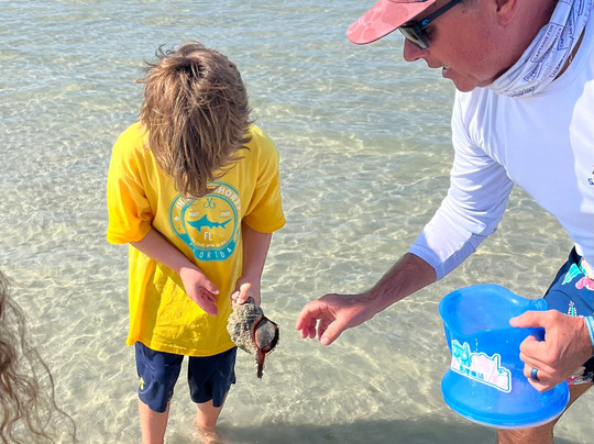 Sea N Things, LLC-Indian Shores必去景点