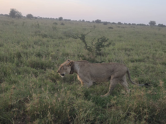 Benzi Kenya Safaris-瓦塔木必去景点