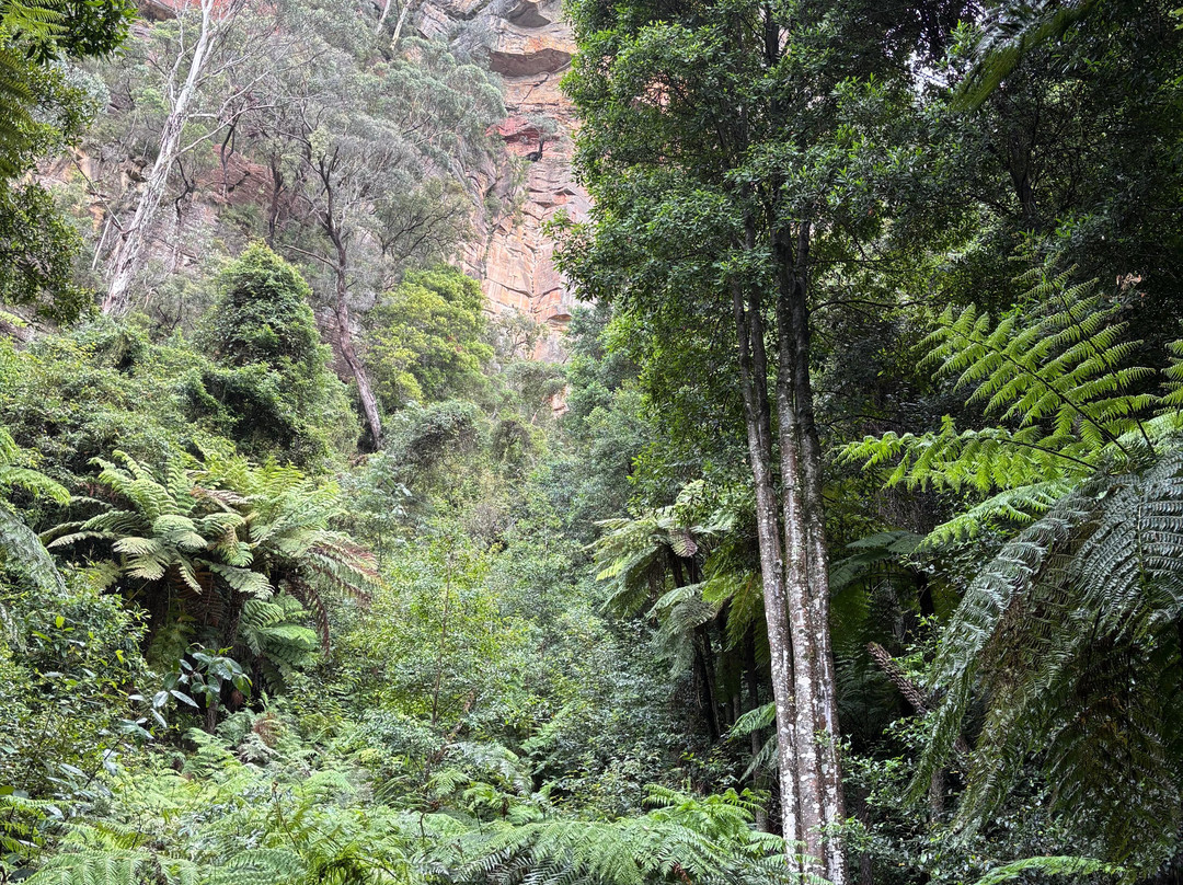 Blue Mountains Tours-格兰布鲁克必去景点