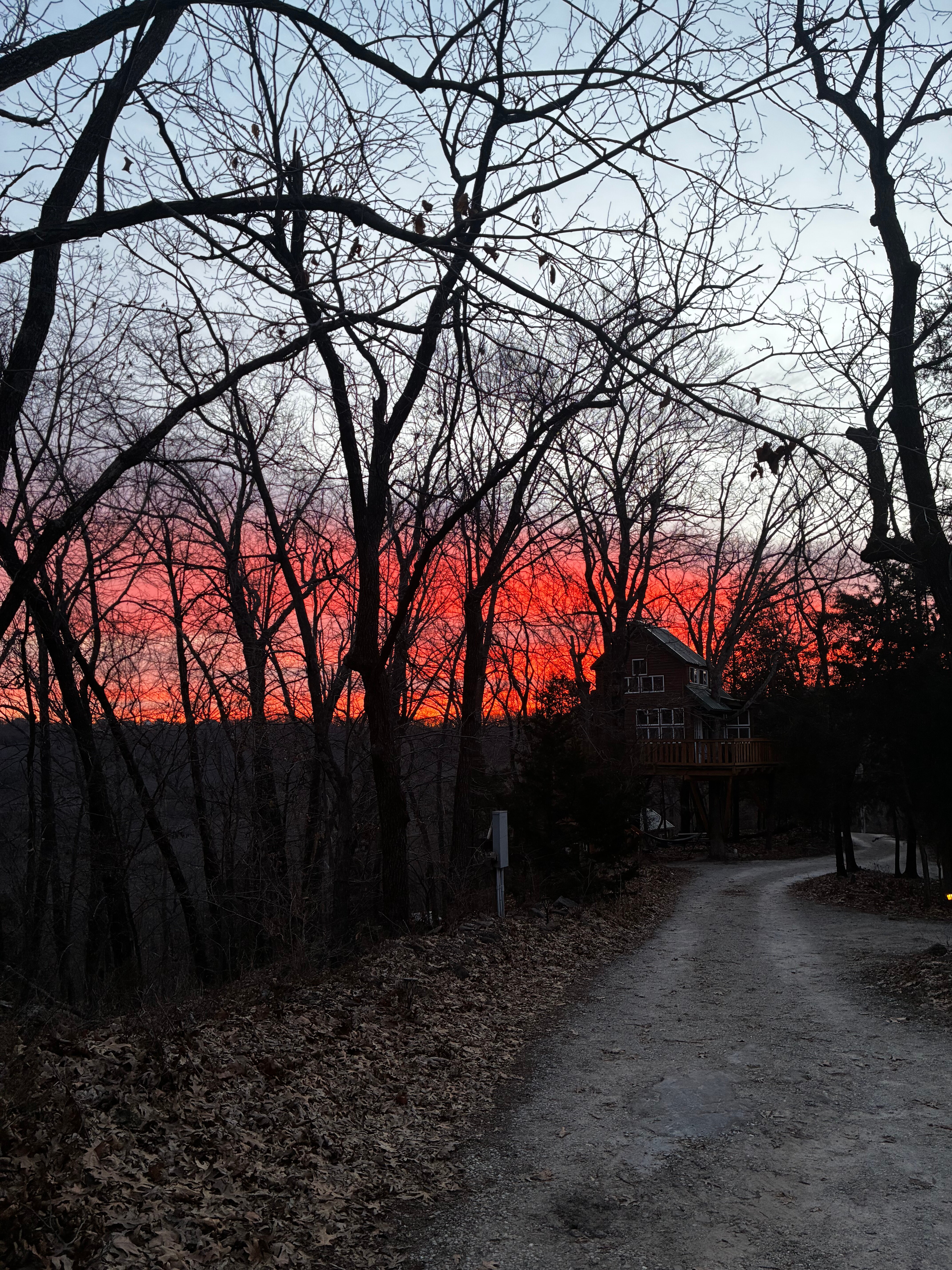 The Cottage | Treehouses & Cabins-官方