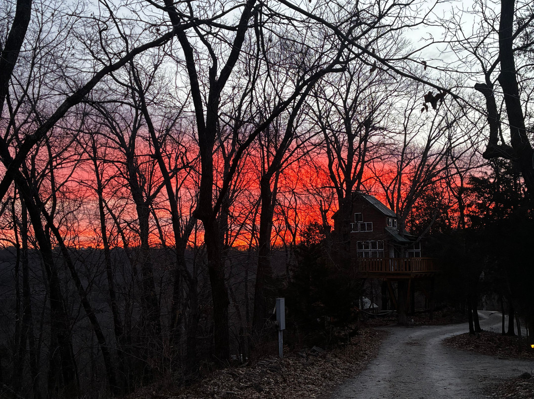 The Cottage | Treehouses & Cabins主图