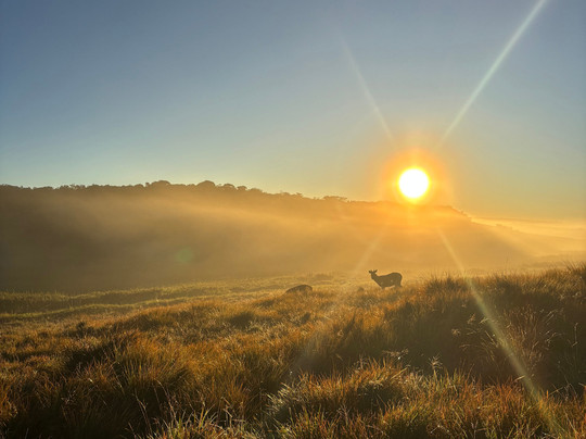 Nandika de silva-瓦都瓦必去景点