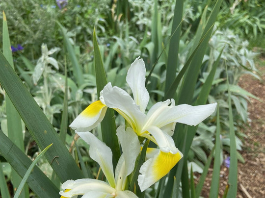 Les Jardins du MIP-Mouans-Sartoux必去景点