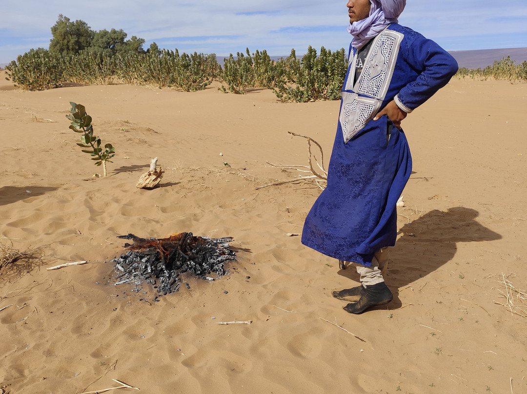 Desert Maroc Tours - Day Tours-扎古拉必去景点