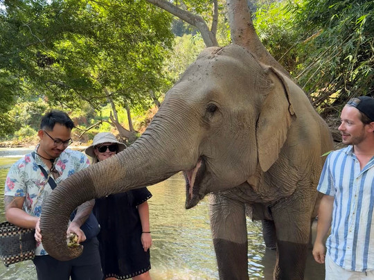 Elephant Sanctuary Care Park-清迈必去景点