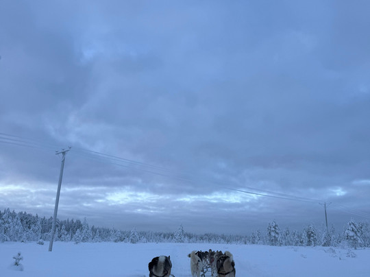 Arctic Circle Husky Park-罗瓦涅米必去景点