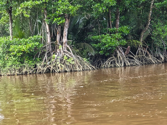 Brunei River-斯里巴加湾必去景点