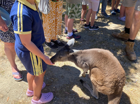 The Funky Farm-Hastings必去景点