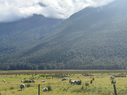 Red Carpet Tours-奥克兰中心地区必去景点