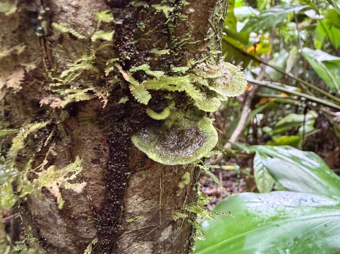 Pajaritos Agami Lodge-Loreto必去景点