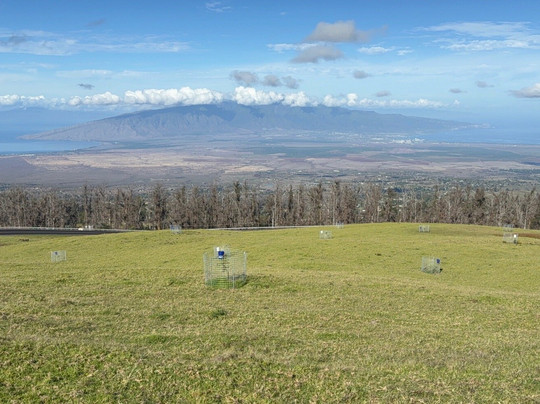 Haleakala Highway - Crater Road-库拉必去景点