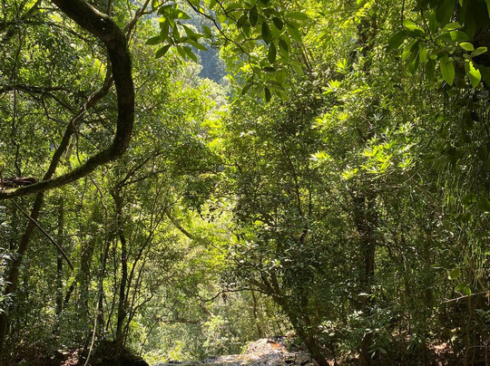 Ecoparque Sperry-卡内拉必去景点