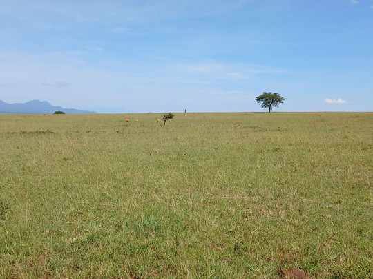 Kidepo Valley National Park-Kaabong必去景点