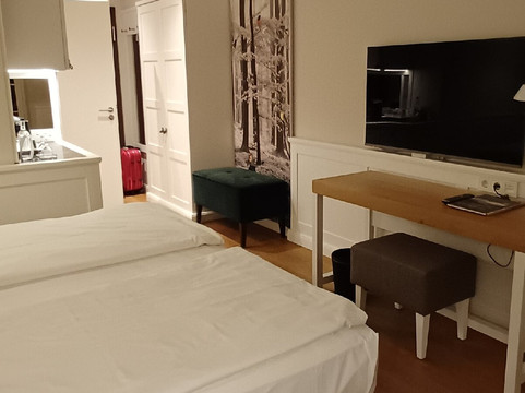 贝格加斯托夫国王椅主图