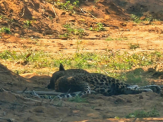 Scenic Ceylon Tours-Polgahawela必去景点