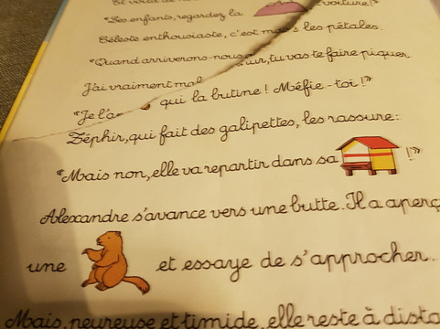 La Bourse Aux Livres-图尔奈必去景点