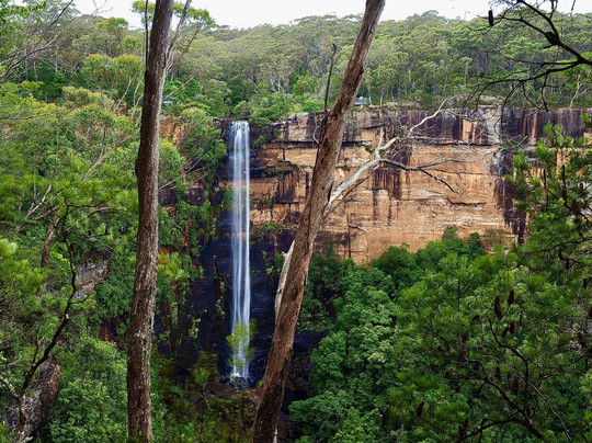 Fitzroy Falls Visitor Centre-Fitzroy Falls必去景点