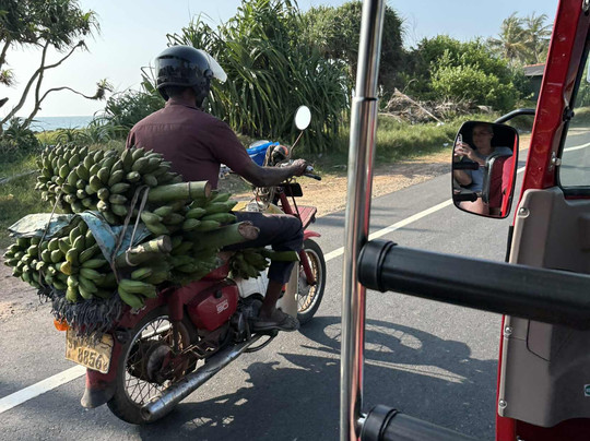 Fernando Tours-希克杜沃必去景点