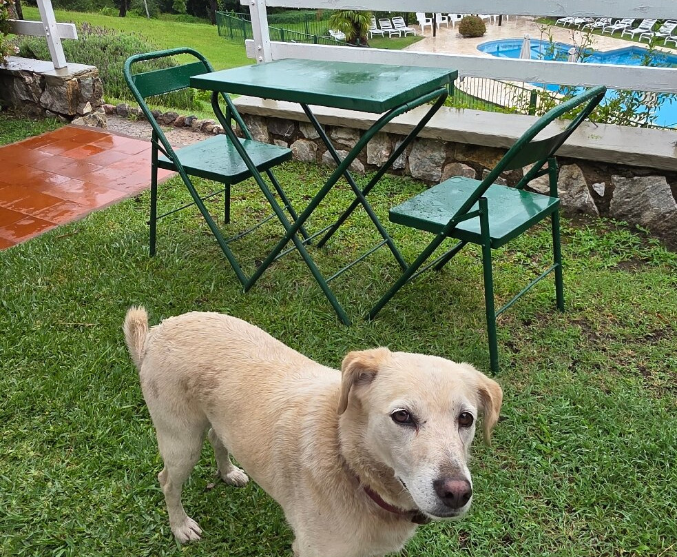 Las Ardillas Cabañas y Suites主图