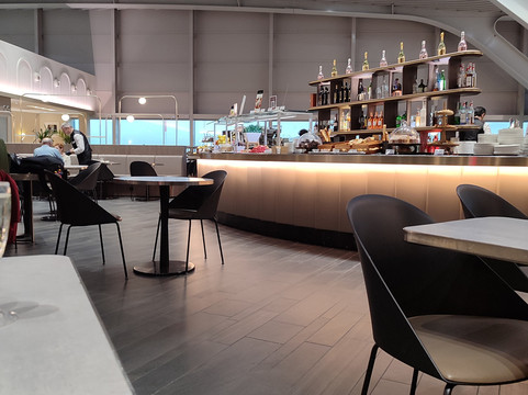 Plaza Premium Lounge (Extra Schengen Area, Departures, Terminal 3)-菲乌米奇诺必去景点