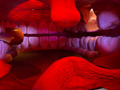 CORPUS 'journey through the human body'-乌赫斯特海斯特必去景点