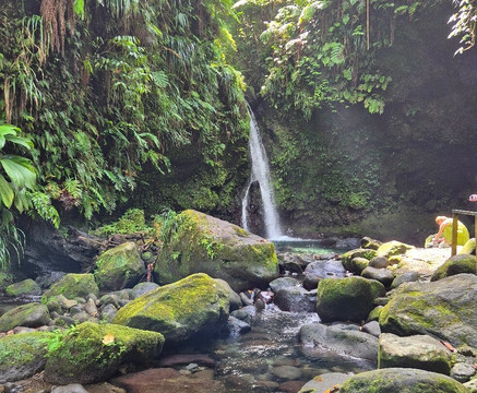 Jacko Falls-Morne Trois Pitons National Park必去景点