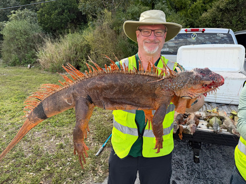 Invasive EnVogue-Ramrod Key必去景点