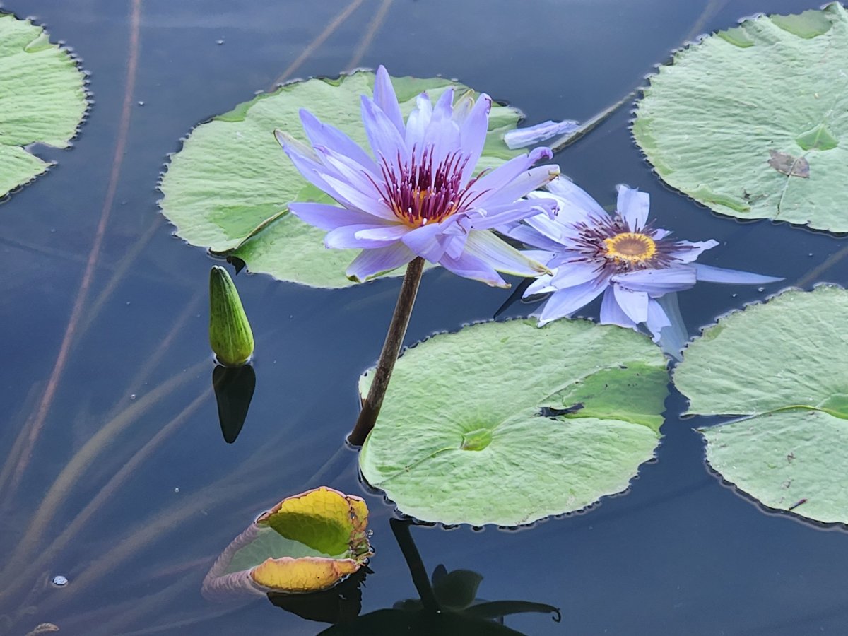 格兰德维拉斯纳亚里特海滨-浴室