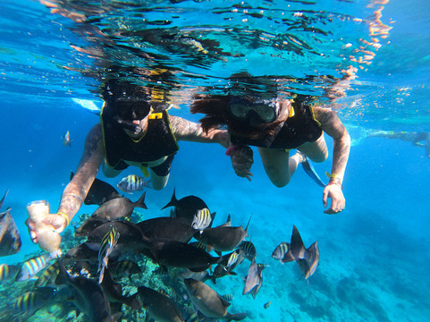 Snorkeling Tour Varadero-巴拉德罗必去景点