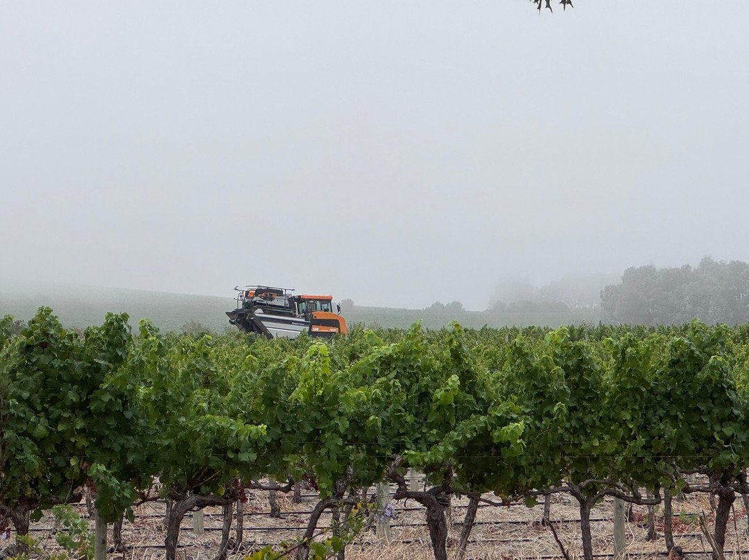 赛文瓦赫特酒庄酒店主图