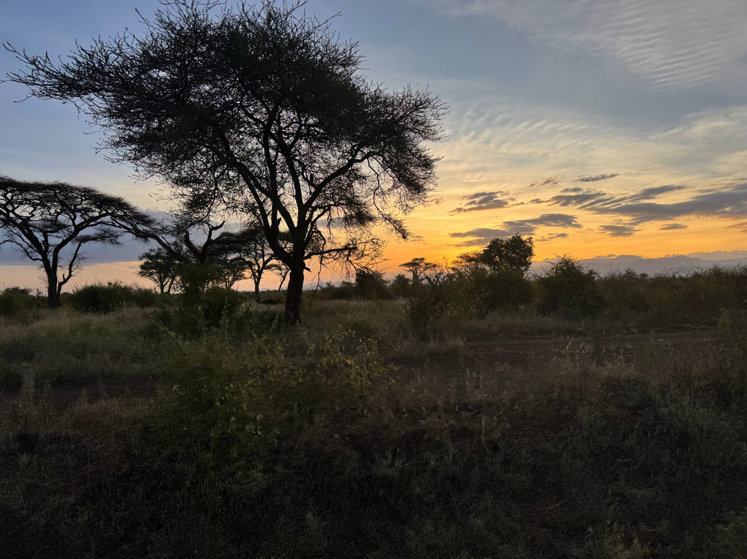 Agenzia Safari Vera Africa-东察沃国家公园必去景点