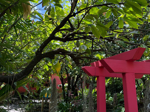 La Maison du Cacao-Pointe-Noire必去景点