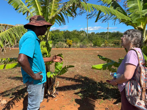 Eleuthera Pineapple Farm Tours-伊柳塞拉必去景点