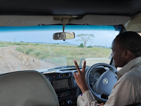 Earthlife Expeditions-阿鲁沙必去景点