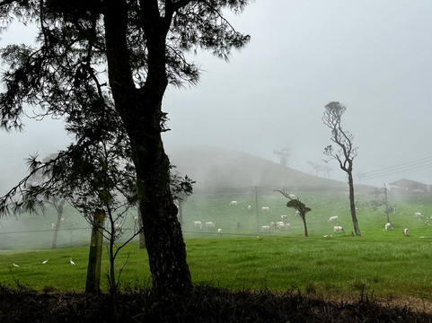 Best Journey-奴娃拉伊利雅必去景点