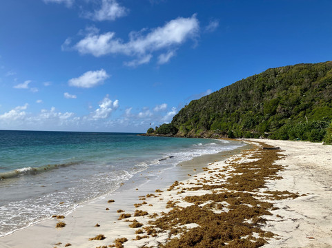 Playa Manzanillo-Providencia Island必去景点