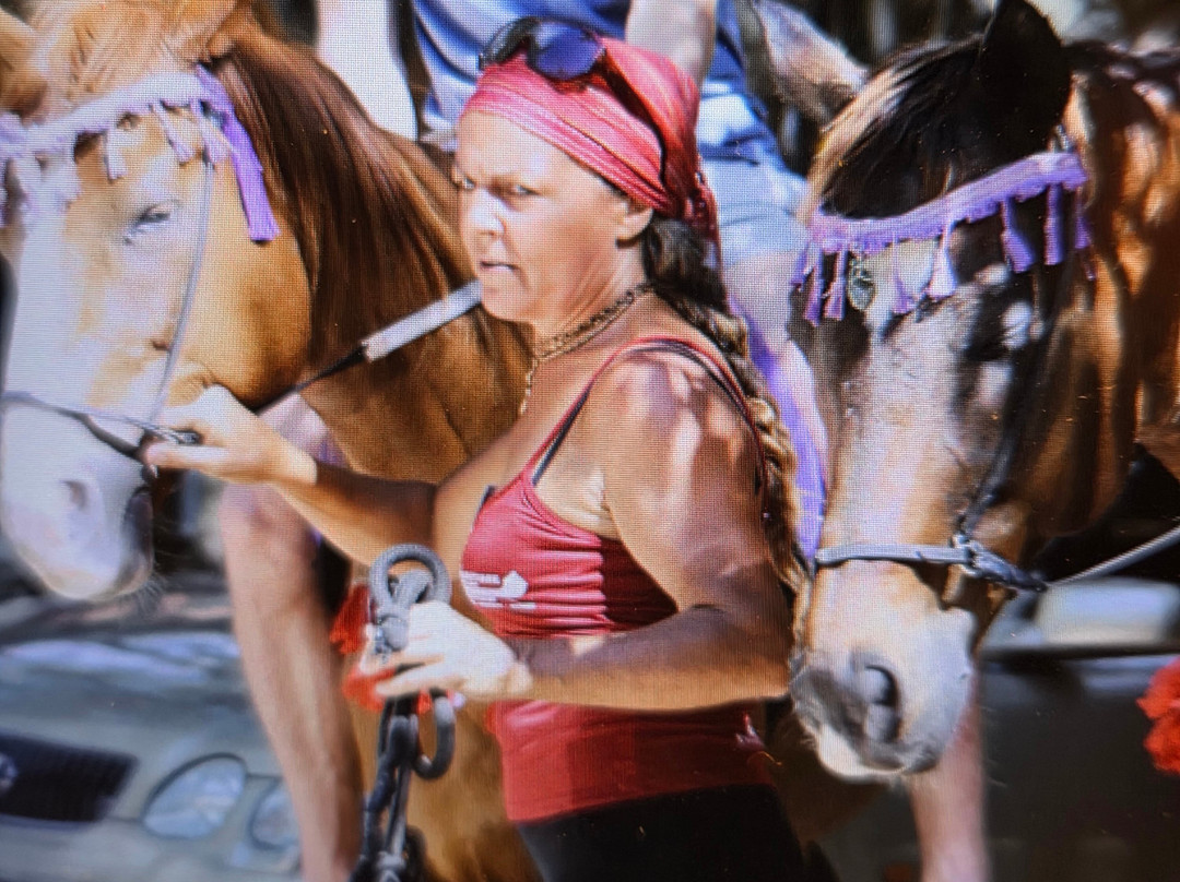 Being with Horses-Buccoo必去景点