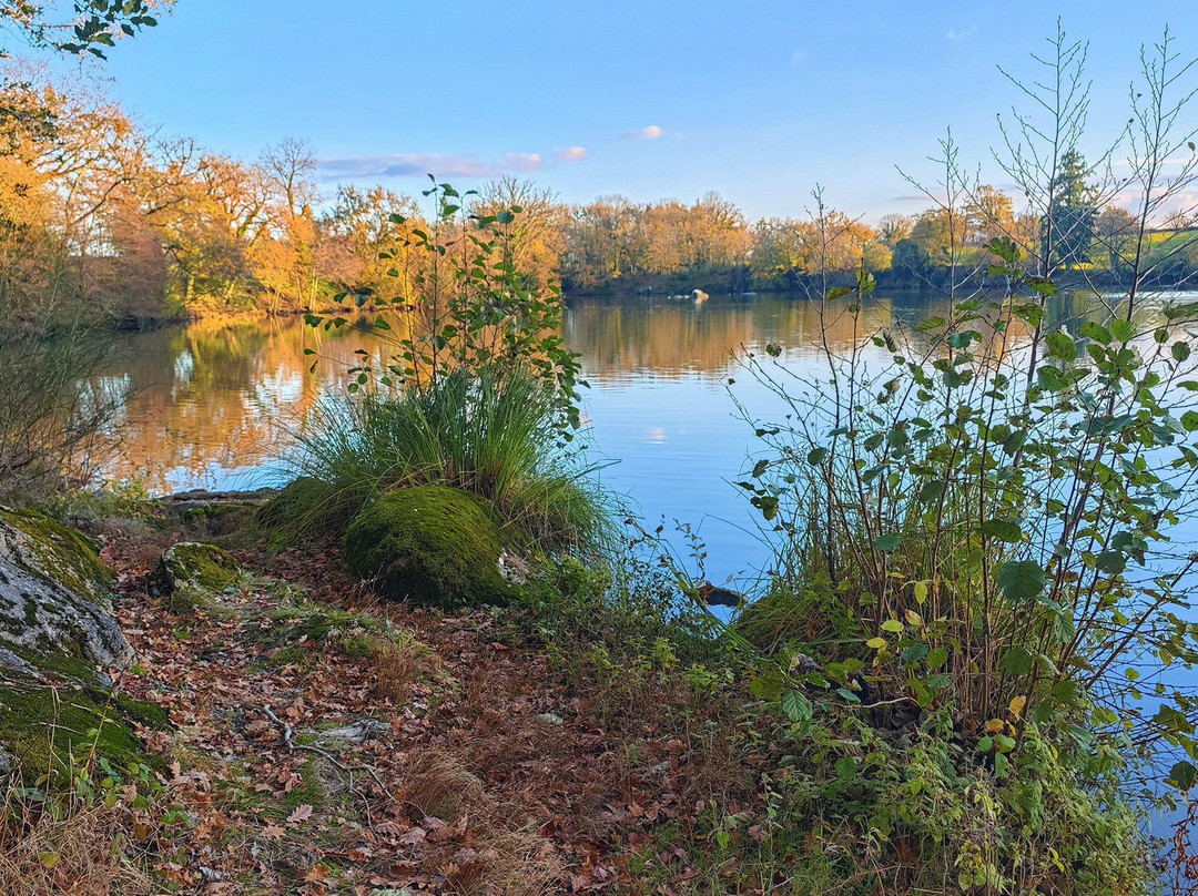 Etang de Bois Pouvreau et son chaos granitique-Menigoute必去景点