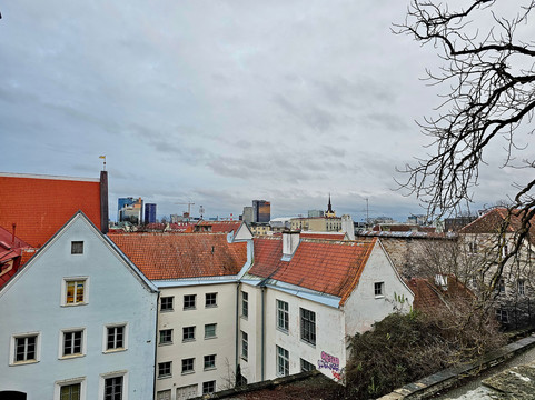 Danish King's Garden-塔林必去景点