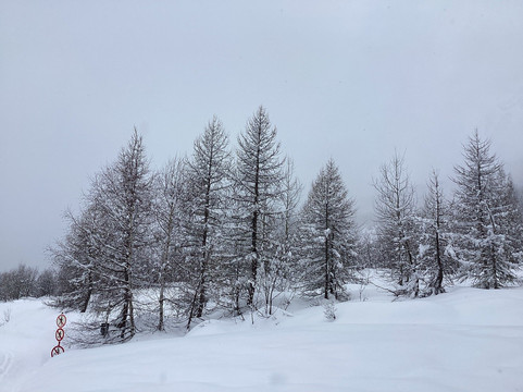 Val Ferret-库马约尔必去景点