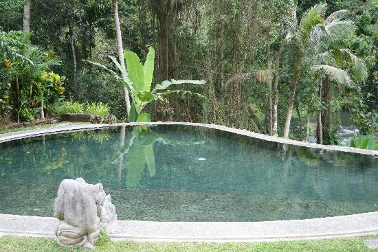 皇家皮塔玛哈酒店主图