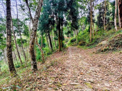 Pine Haven Resorts & Spa-酒店景观