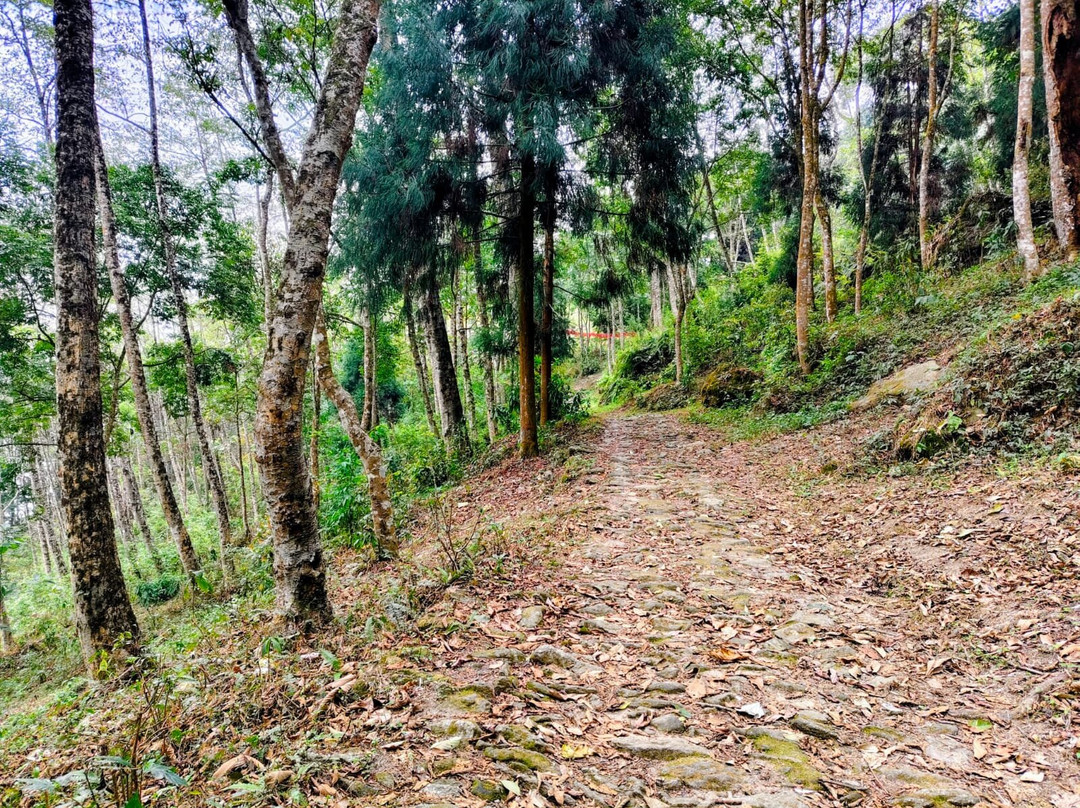 Pine Haven Resorts & Spa主图